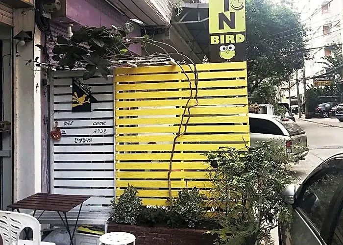 بيت شباب Kamin Bird