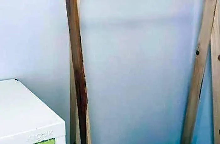 Kamin Bird بيت شباب *