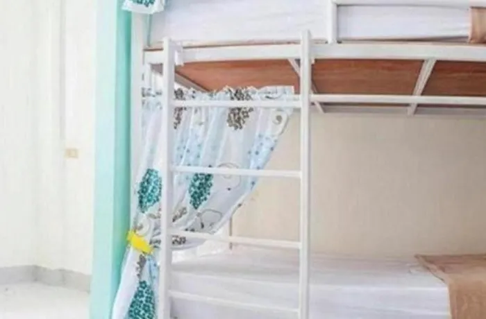Kamin Bird Hostal